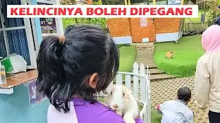 MAIN PUT PUT GOLF & KANDANG KELINCI DI ORCHID FOREST CIKOLE LEMBANG BANDUNG