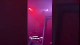Euohonique - Jungle Cakes 360