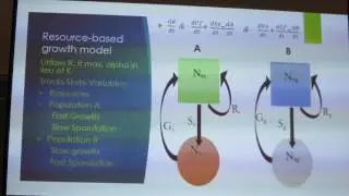 Thomasson: A model for coexistence and divergence in insect-vectored yeast populations