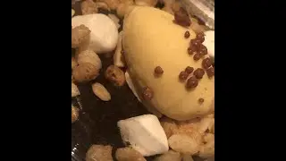 Date Night - Tapas Molecular Bar - Tokyo November 2020