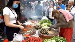 Amazing Cooking Monkey! Street Chef Monkey Rushes to Fry a Giant Wok #MonkeyChef #FunnyMonkey 