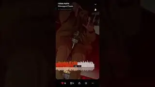 I Dindu Nuffin - Shlumpgod Pimpin
