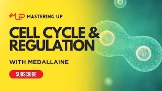 Cell Cycle and Regulation | #21