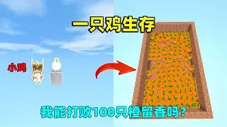迷你世界：一只鸡生存！鸡蛋能随机砸出道具，我能打败橙留香吗？
