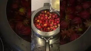 Tengamora Jam | Roselle Jam #easyrecipe #jam #assamesecusine #jamrecipe #testy #testyfood