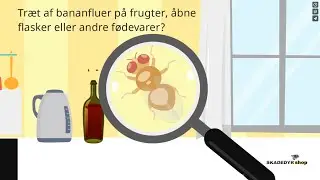 S&aring;dan bek&aelig;mper du bananfluer