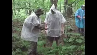 Swamp School 2008