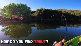 Trout Fishing Silverwood Lake - How To Locate and Catch Trout - Tips and Tricks