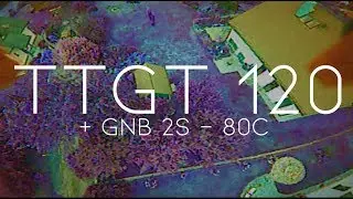 JUST ONE WITH TTGT (DVR) | Gophy