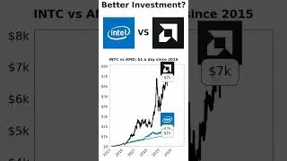 INTC or AMD? $1/Day Investment Showdown (2015-2025) #intel #amd #stockmarket #investing