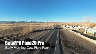 Pavo20 Pro - Early Morning Cow Field Pack in Northern NV