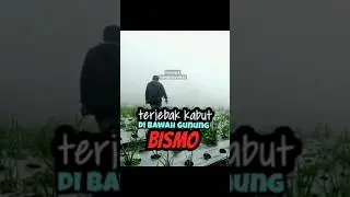 SWIS VAN JAVA SIRANGKEL GARUNG WONOSOBO