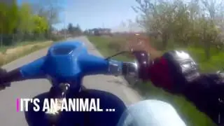SLUK | 46hp Lambretta SSR250 on the road