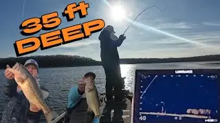 Почему мне понадобился LIVE SCOPE, чтобы найти этих басов!! (застряли внизу)