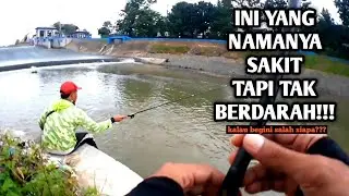 Apes !!! Ikan Lagi Rame Malah Kejadian Kayak Gini! Mancing Bader