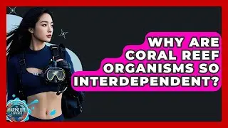 Why Are Coral Reef Organisms So Interdependent? - The Marine Life Explorer