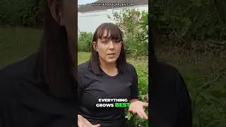 How to Successfully Grow Barbados Cherry: Tips and Tricks