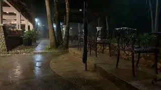 ASMR | Rain #junnjan #asmr #rainasmr