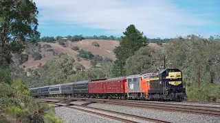 Steamrail Goulburn Valley Diesel Explorer +  V/Line pass services & QUBE Freight