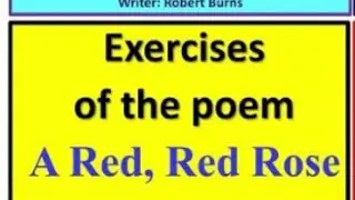 Class 11 English A Red Red Rose exercise l Robert Burn l