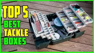 TOP 5 Best Tackle Boxes 2026 | Top Tackle Boxes for Fishing & Boat Reviews