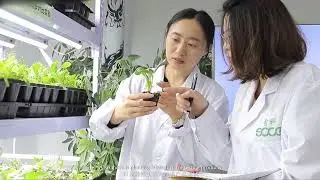 SOCO&reg; Super Absorbent Polymer Less Water Less Fertilizer More Yield