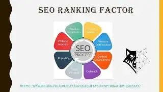 Best Buffalo SEO Company| DigiWolves