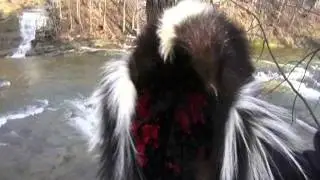 Skunk fur hat