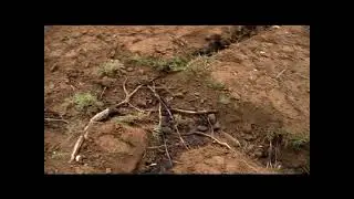 Decompattazione e Fertilizzazione del terreno