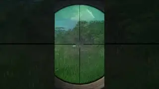 Scrub Hare Hunting In Africa The Hunter Call Of The Wild