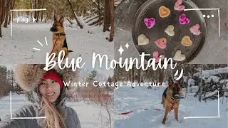 Blue Mountain Cottage Vlog