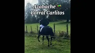 Azabache 🆚Gringa📍Cancha Huempeleo Tegualda  30/03/2025