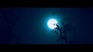 K Maya Lagxa ra| LYRIC | by Nishan Bhattrai and Eleena Chauhan ||SABDA||