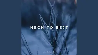 NECH TO BEJT