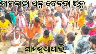 #nagbacha sabu barua #evidiore dekhi parbe #