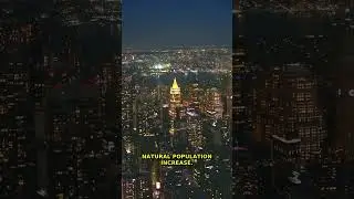 Wait, You Think You Know Cities? Urban Growth Secrets | Urbanization