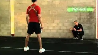 Reaction Ball