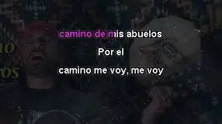 Yo vengo de las estrellas Lenín  || Karaoke #ikarokaraoke #karaokemedicina