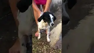 Oii magote de raps!!!! T&ocirc; come&ccedil;ando aqui agora, ent&atilde;o vou come&ccedil;ar postando meus viralizados 😌