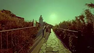 2025 12 30ユウスゲ公園