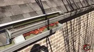 Failed DIY Flying Squirrel Exclusion Attempt