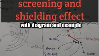 Screening and shielding effect with diagram