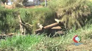 PONTES DE MADEIRA
