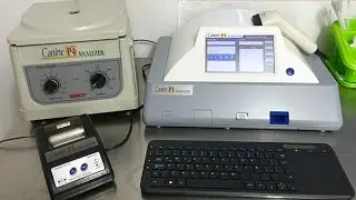 Dog Progesterone - Canine P4 Analyzer Duo (786) 724-8761
