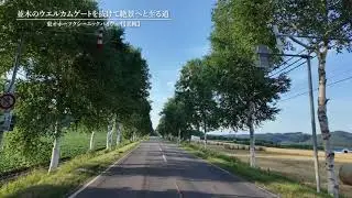 シーニックバイウェイ 秀逸な道『並木のウエルカムゲートを抜けて絶景へと至る道』
