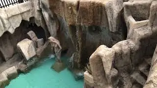 AQUASOL HOLIDAY VILLAGE 4*