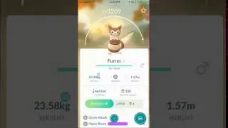 Pokemon GO - Sentret evolves into Furret (Gen 2 Johto Region)