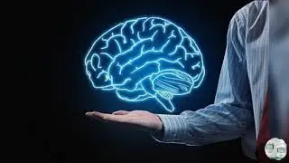 Neural Fusion |  Brain Booster