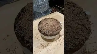 Chocolate Mug Cake in 2 minutes. #chocolatecake #mugcake #cake #chocolate #birthdaycake