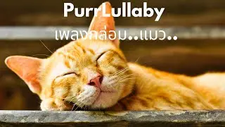 ไลฟ์สด | เพลงกล่อมแมวนอน |PurrLullaby | relaxing music for cats | calming music for pets